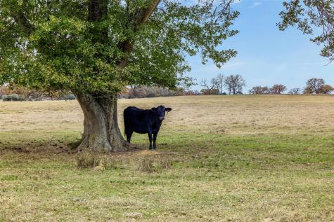 2150 Cr 412 Lexington TX 78947