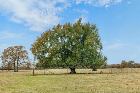 2150 Cr 412 Lexington TX 78947