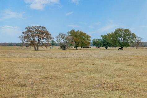 2150 Cr 412 Lexington TX 78947