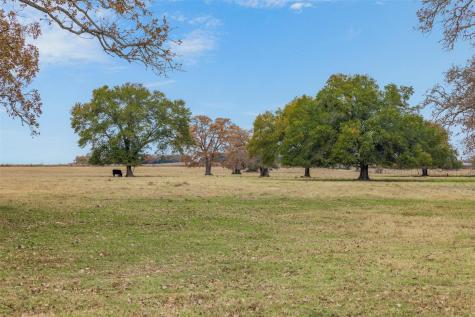 2150 Cr 412 Lexington TX 78947