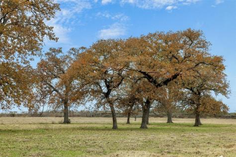 2150 Cr 412 Lexington TX 78947