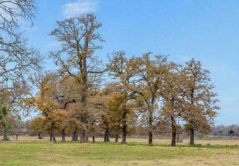 2150 Cr 412 Lexington TX 78947
