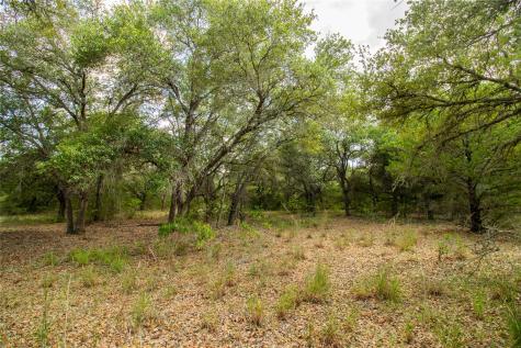 001 County Road 15 Hallettsville TX 77964