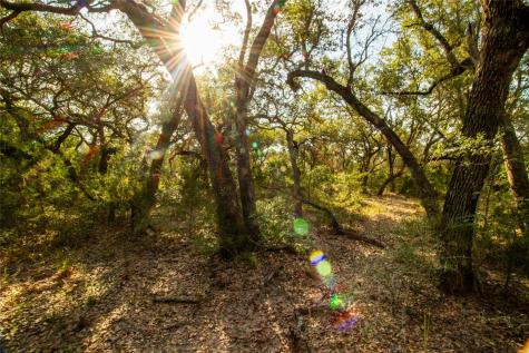 1 County Road 15 Hallettsville TX 77964