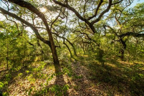 001 County Road 15 Hallettsville TX 77964