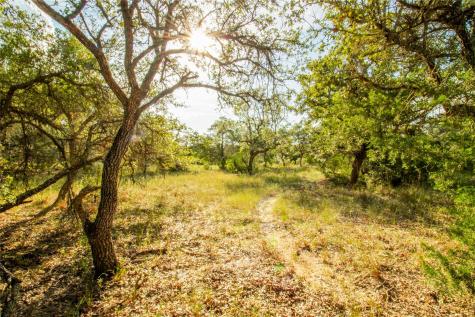 001 County Road 15 Hallettsville TX 77964