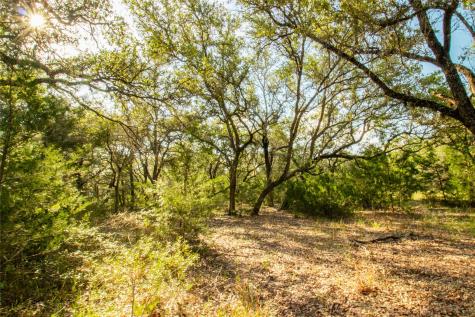 001 County Road 15 Hallettsville TX 77964
