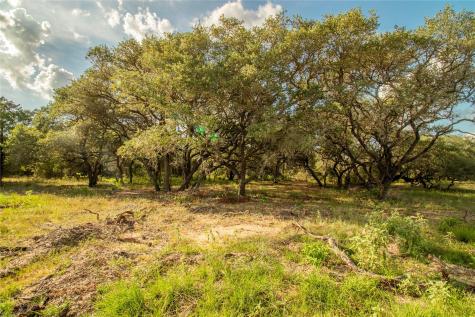 001 County Road 15 Hallettsville TX 77964