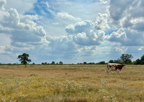 3 Big Sky Ranch Road Smithville TX 78957