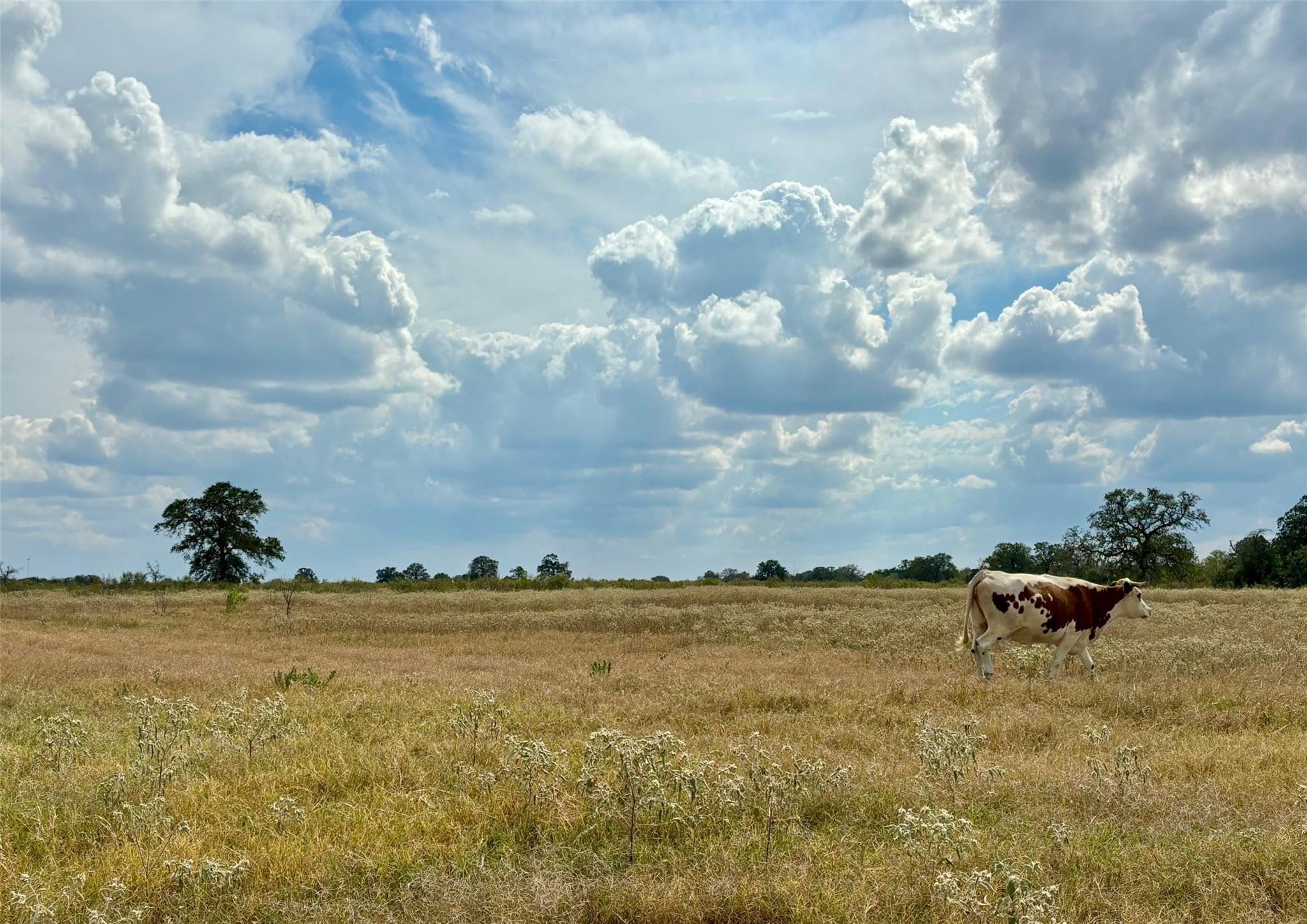 3 Big Sky Ranch Road Smithville TX 78957