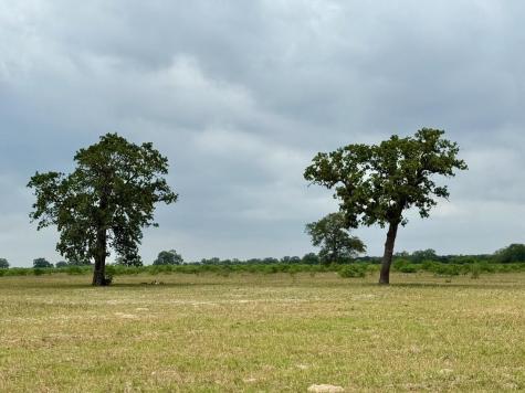3 Big Sky Ranch Road Smithville TX 78957
