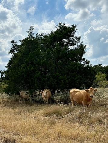 3 Big Sky Ranch Road Smithville TX 78957