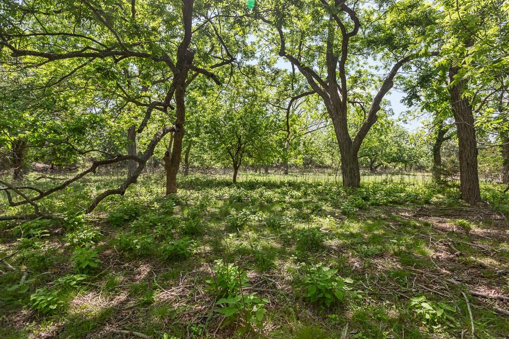 127 El Nopal Drive Blanco TX 78606