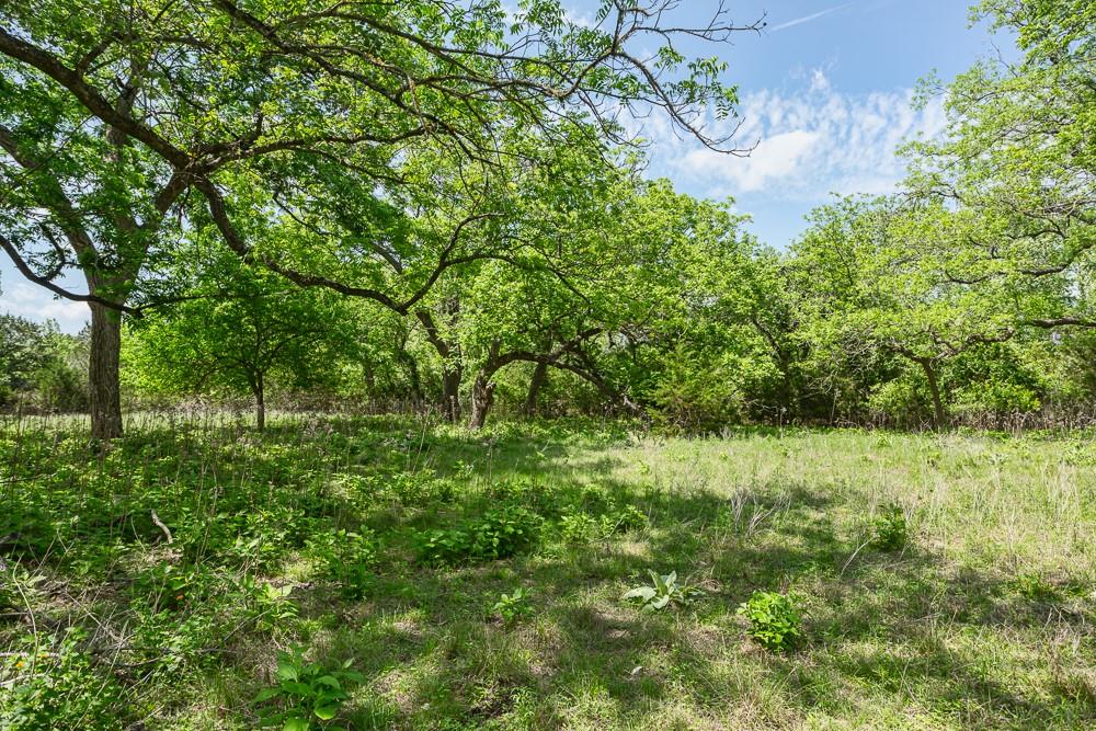 127 El Nopal Drive Blanco TX 78606