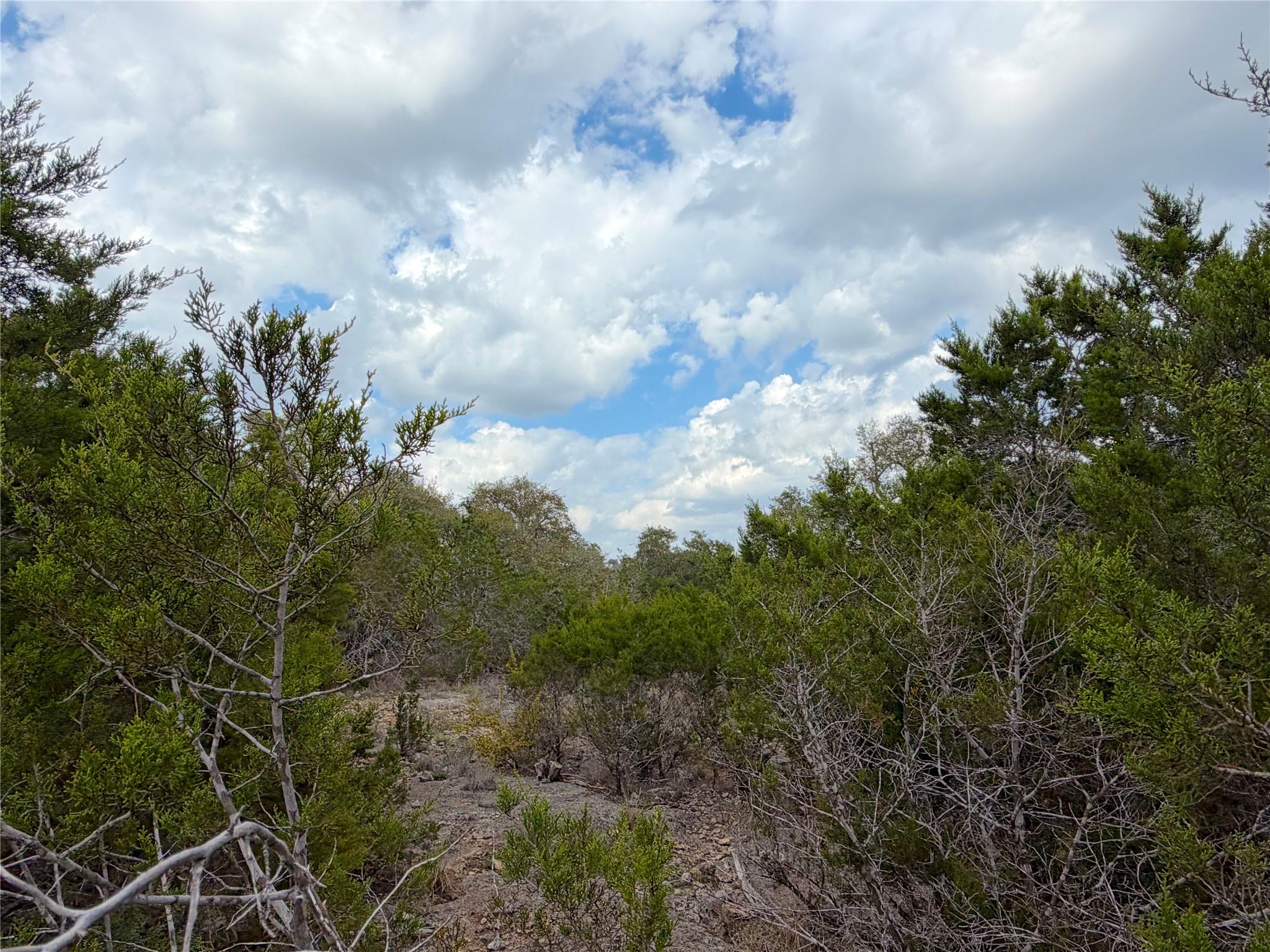 1447 Carson Creek Canyon Lake TX 78133
