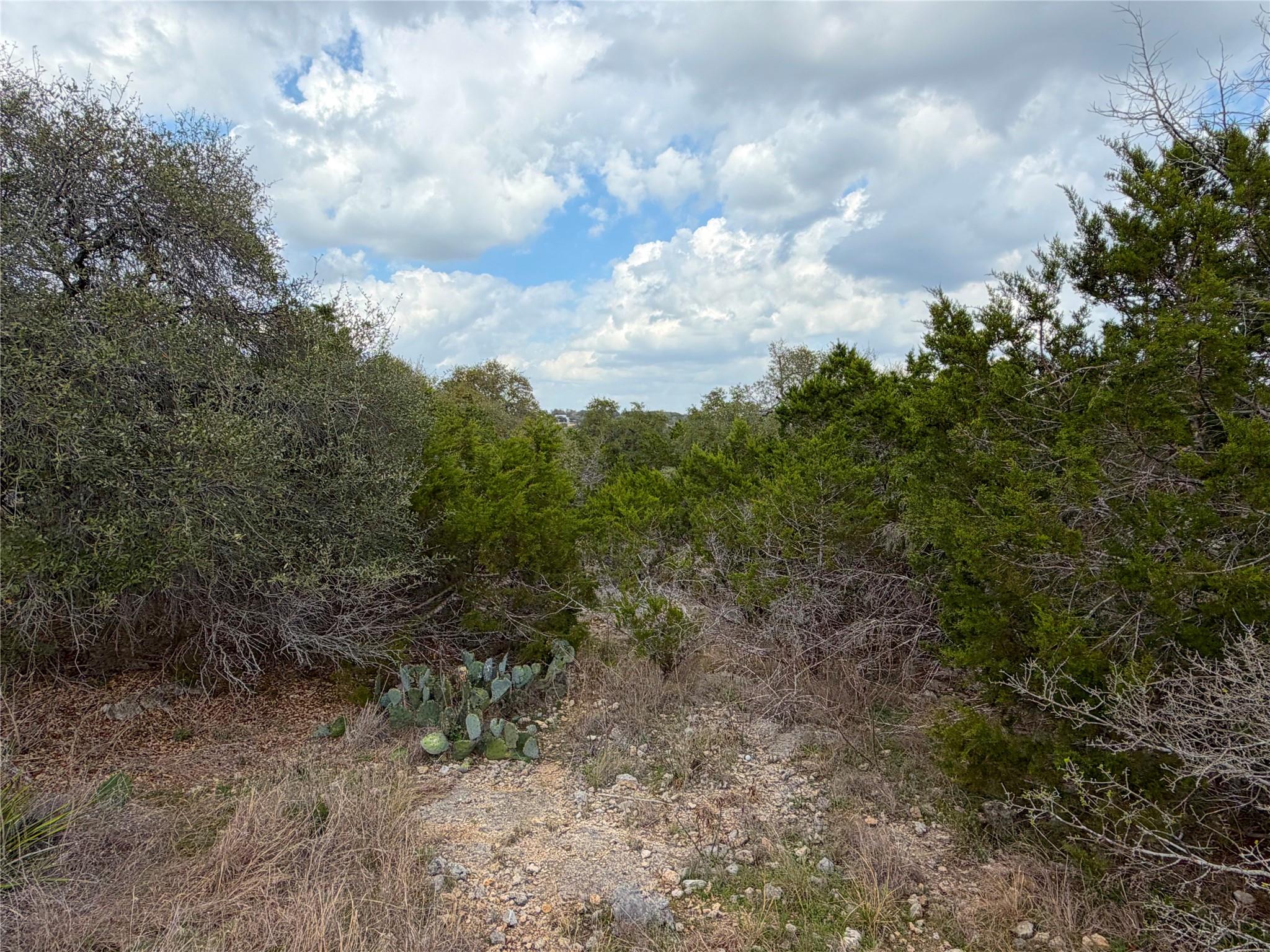 1447 Carson Creek Canyon Lake TX 78133