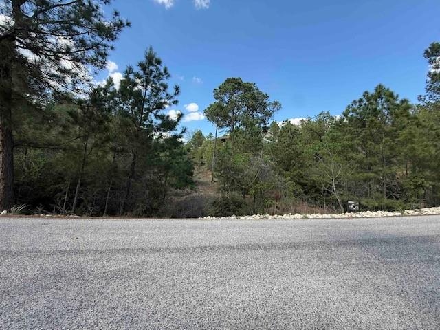 Lot 1198 Wahane Lane Bastrop TX 78602