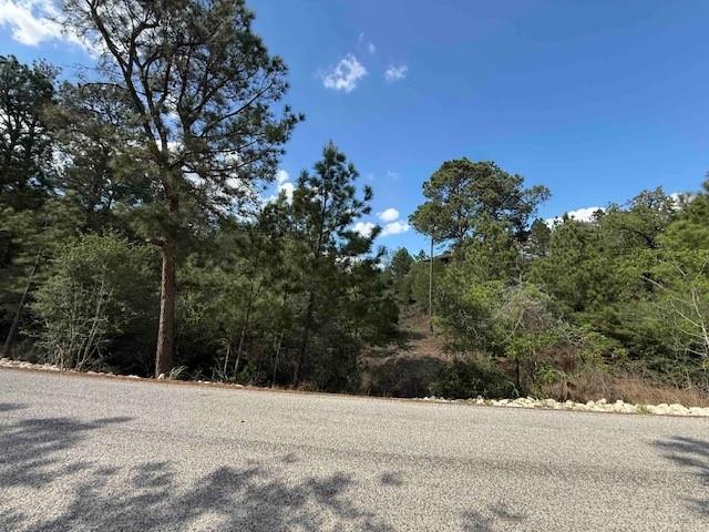 Lot 1198 Wahane Lane Bastrop TX 78602