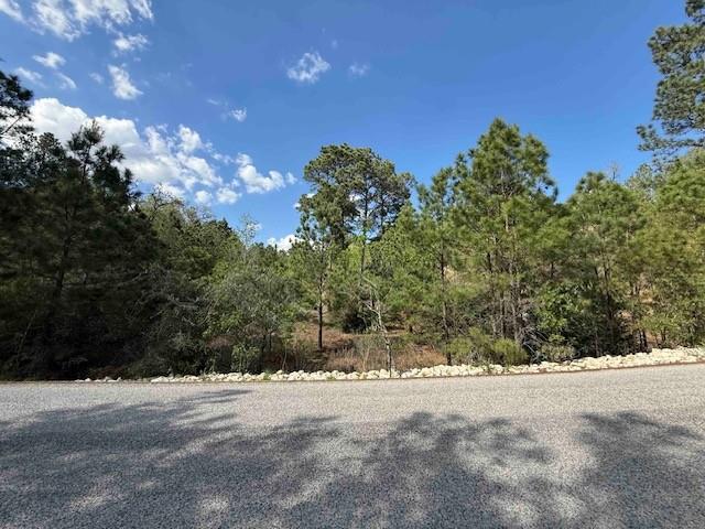 Lot 1198 Wahane Lane Bastrop TX 78602