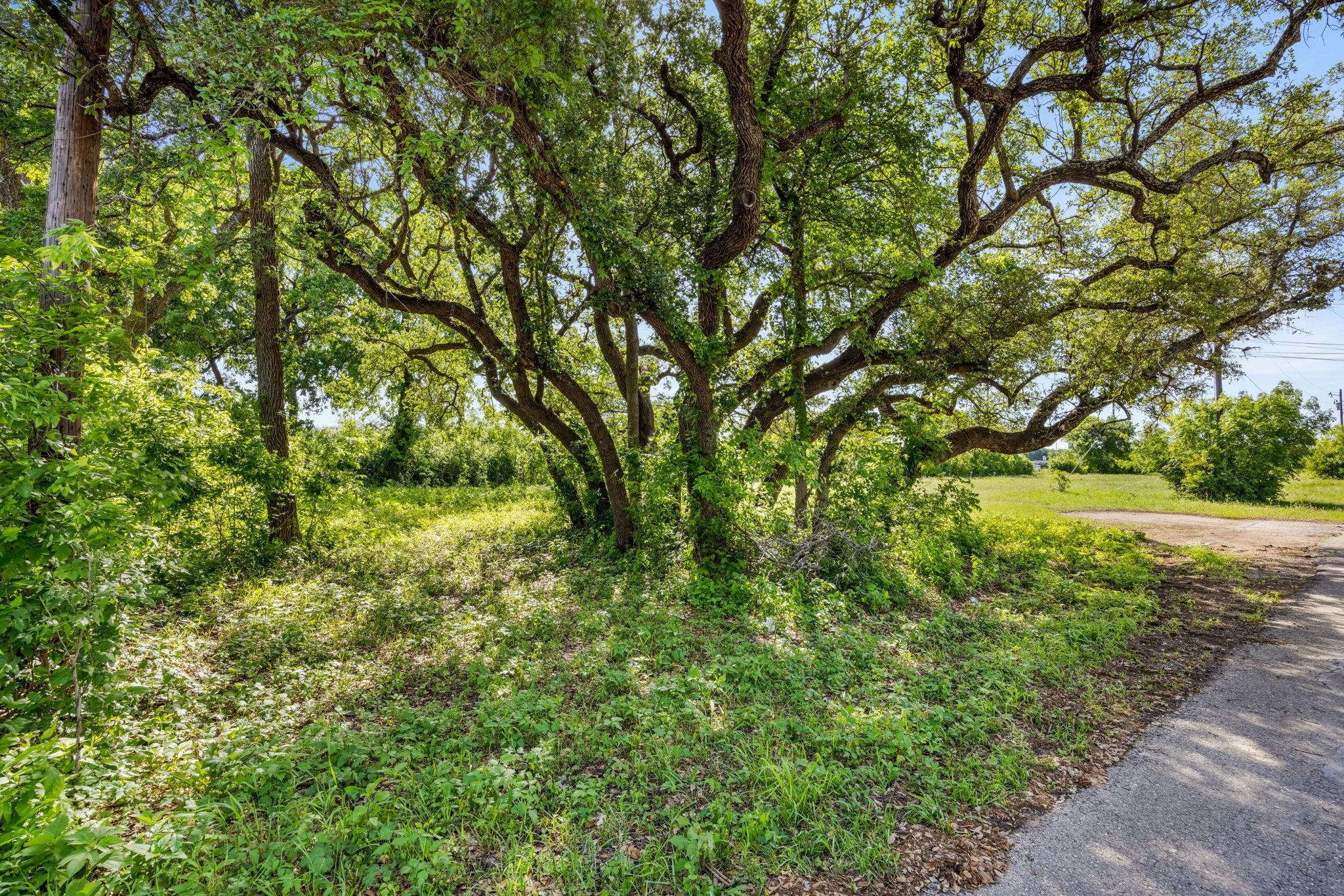 2704 Poplar Lane Cedar Park TX 78613