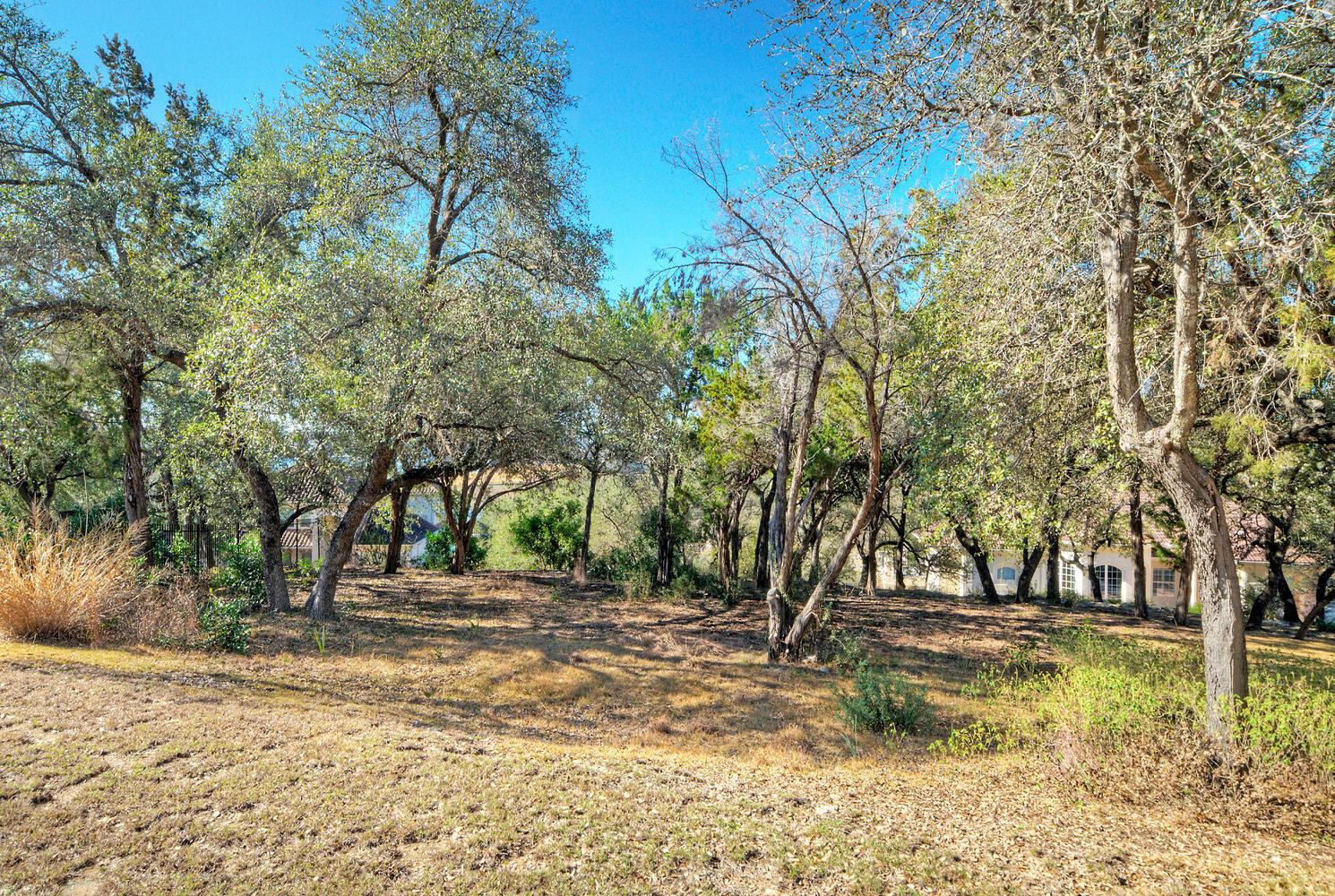 1311 Osprey Ridge Loop Lago Vista TX 78645