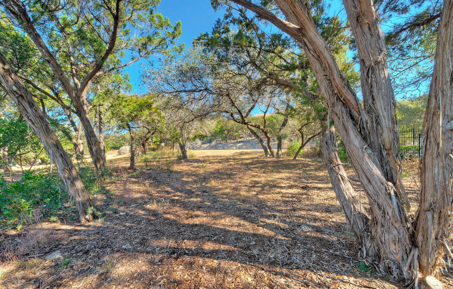 1311 Osprey Ridge Loop Lago Vista TX 78645