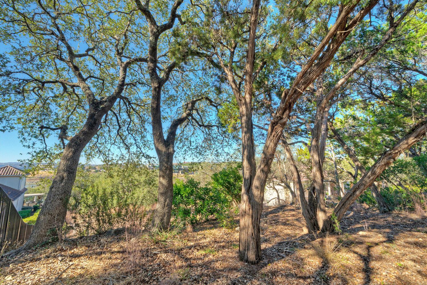 1311 Osprey Ridge Loop Lago Vista TX 78645