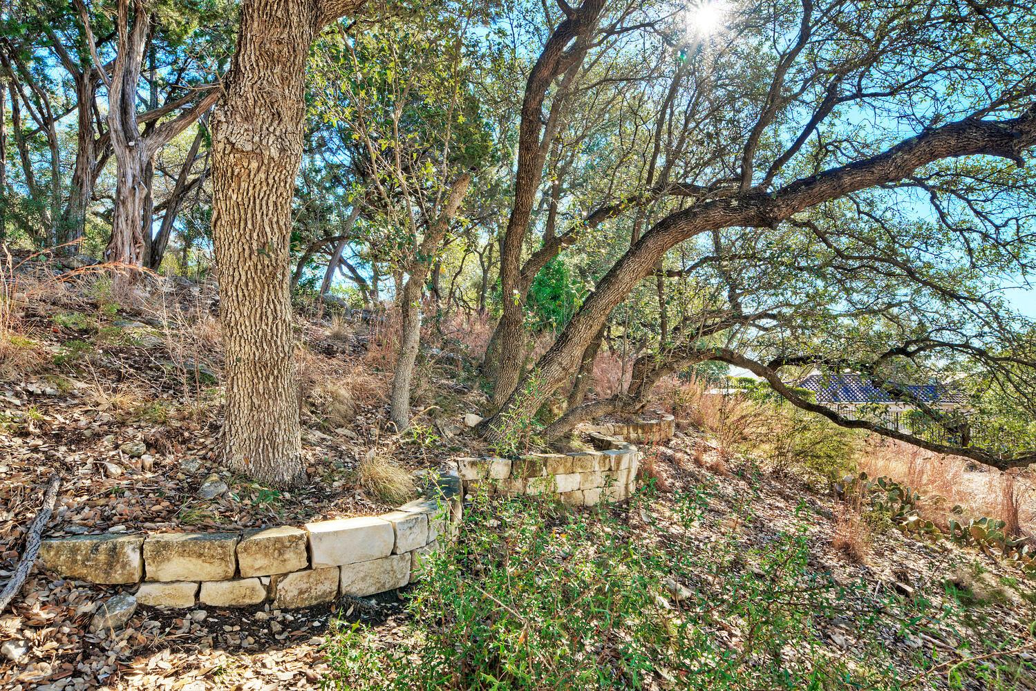 1311 Osprey Ridge Loop Lago Vista TX 78645