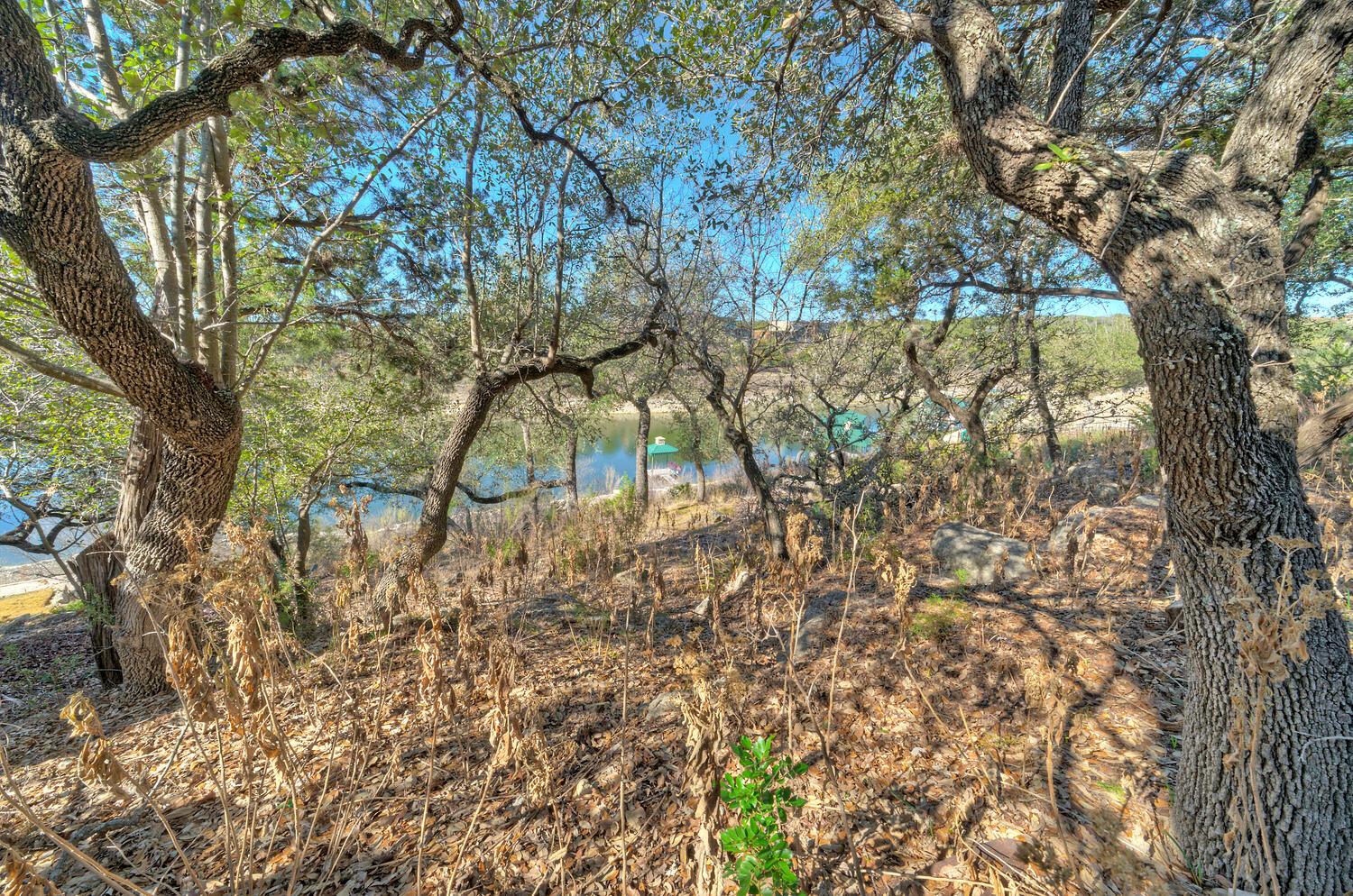 1311 Osprey Ridge Loop Lago Vista TX 78645