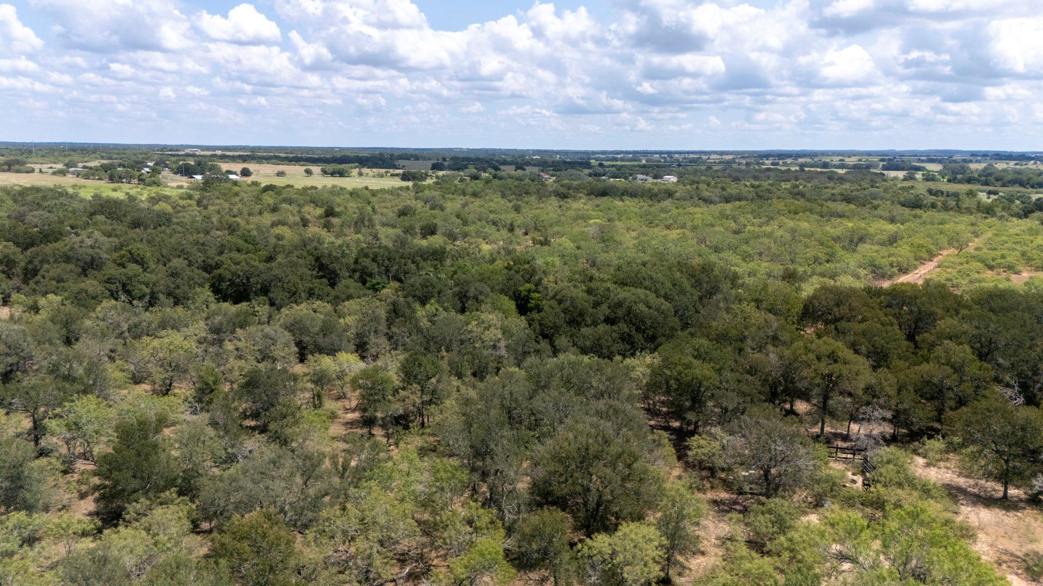 Tbd Fox Lane Lockhart TX 78644