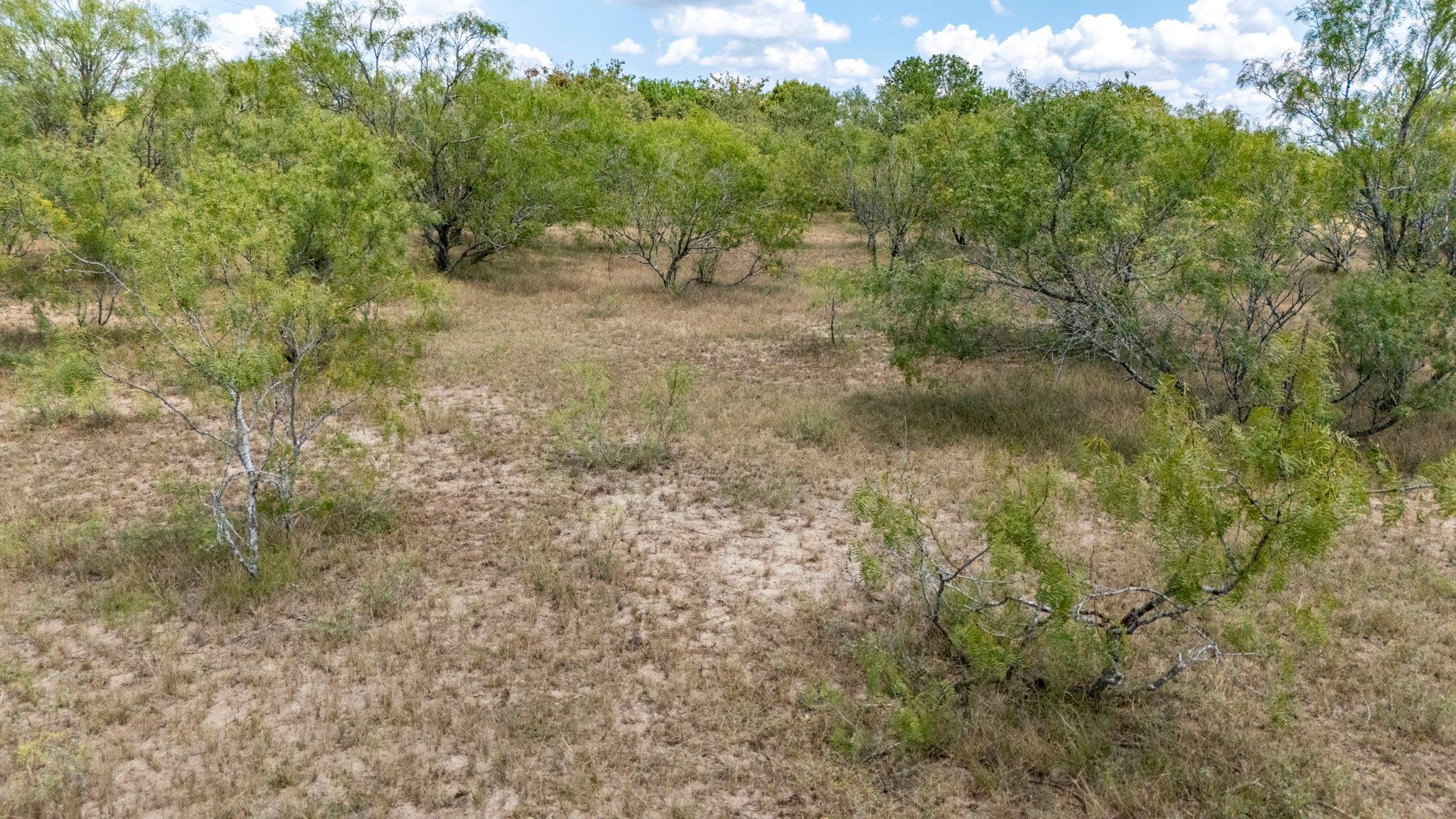 Tbd Fox Lane Lockhart TX 78644