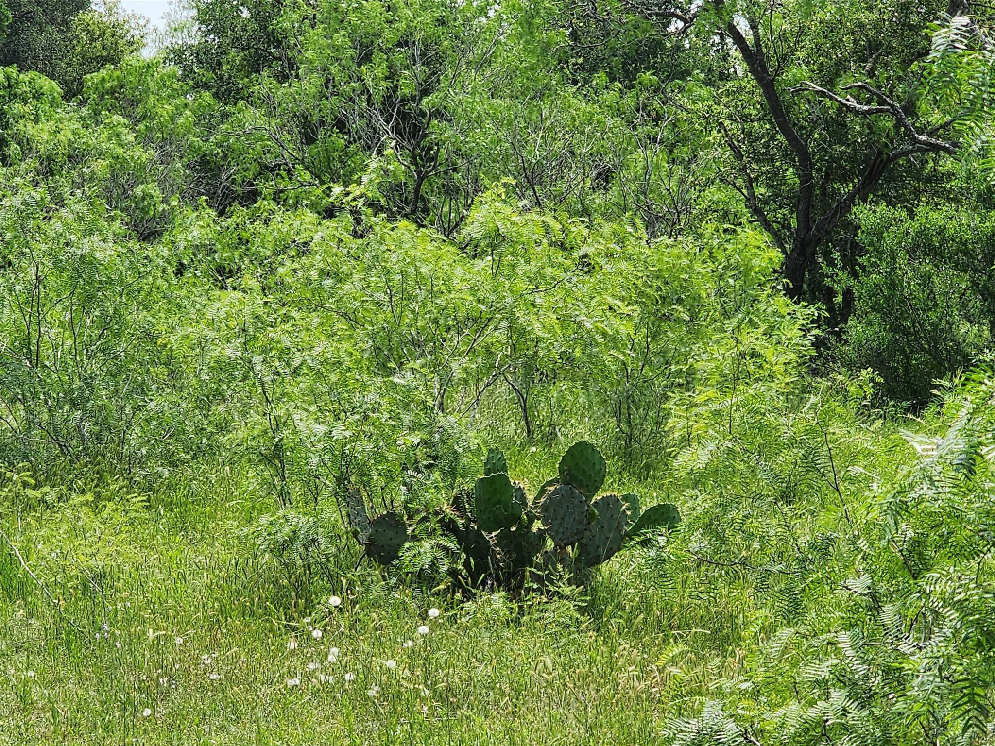 Tbd Fox Lane Lockhart TX 78644