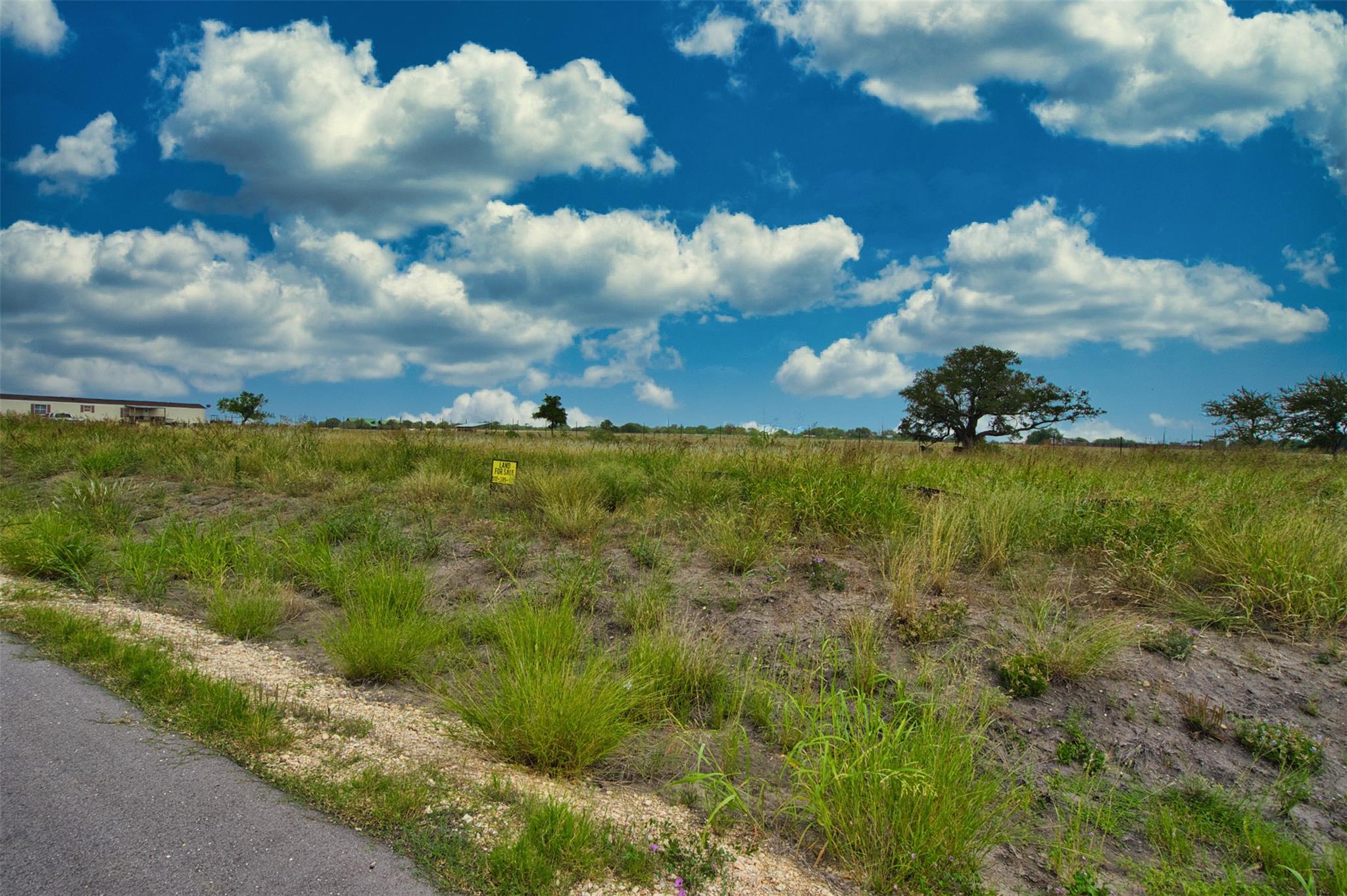 180 Altidore Avenue Dale TX 78616