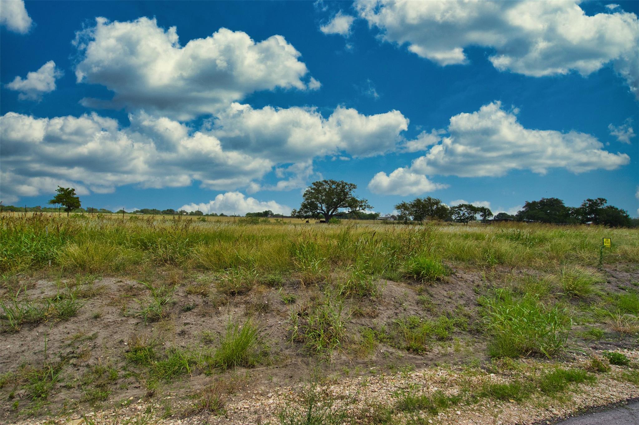 180 Altidore Avenue Dale TX 78616