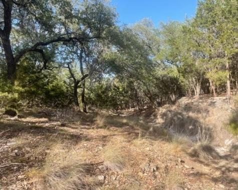934 Beauchamp Road Dripping Springs TX 78620