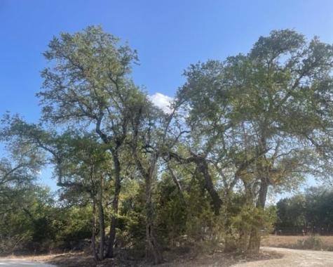 934 Beauchamp Road Dripping Springs TX 78620