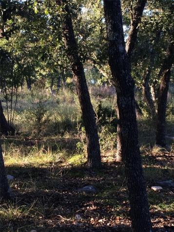 934 Beauchamp Road Dripping Springs TX 78620