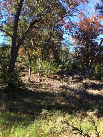 934 Beauchamp Road Dripping Springs TX 78620
