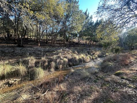 934 Beauchamp Road Dripping Springs TX 78620