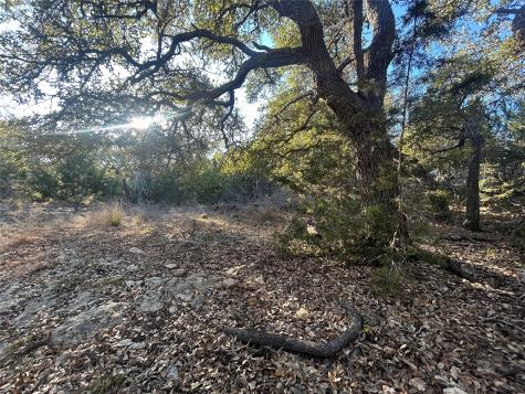 934 Beauchamp Road Dripping Springs TX 78620