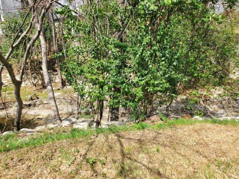5606 1/2 Joe Sayers Avenue Austin TX 78756