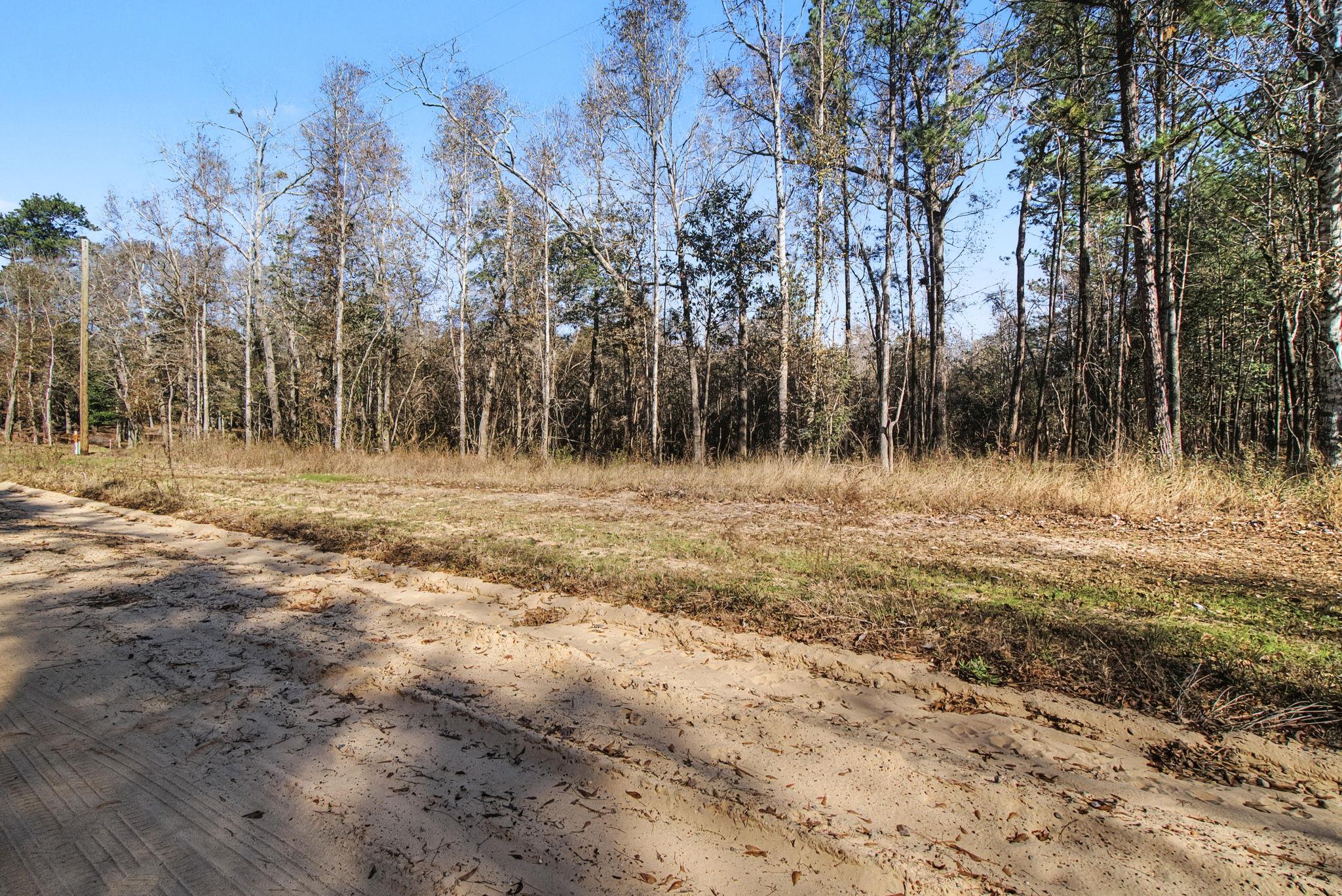 Tract 69 Northcrest Drive Livingston TX 77351