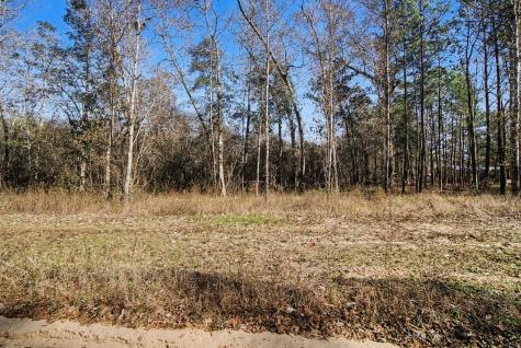 Tract 69 Northcrest Drive Livingston TX 77351