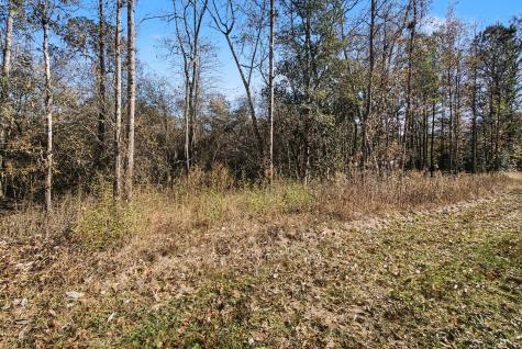 Tract 69 Northcrest Drive Livingston TX 77351