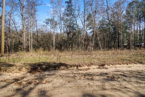 Tract 69 Northcrest Drive Livingston TX 77351