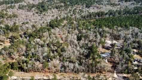 Tract 69 Northcrest Drive Livingston TX 77351