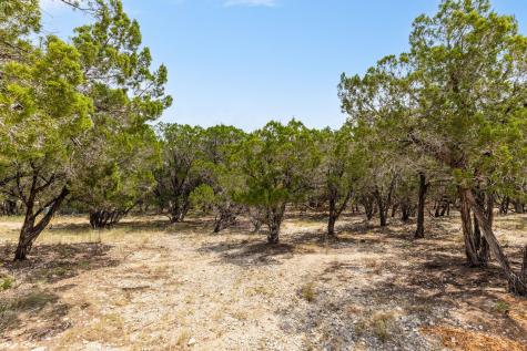 707 Moonlight Bay Drive Spicewood TX 78669