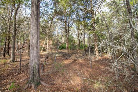 Tbd Hanauma Bastrop TX 78602