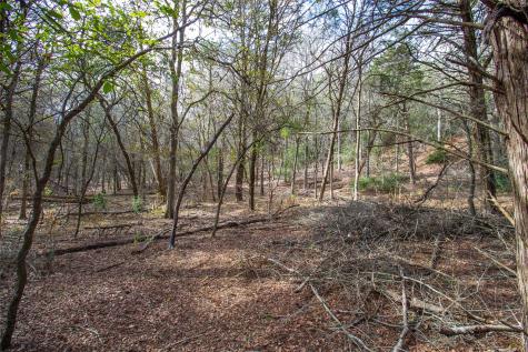 Tbd Hanauma Bastrop TX 78602