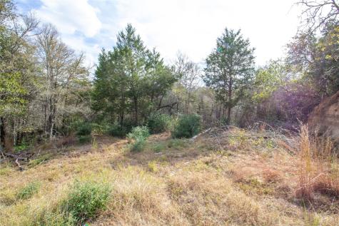 Tbd Hanauma Bastrop TX 78602